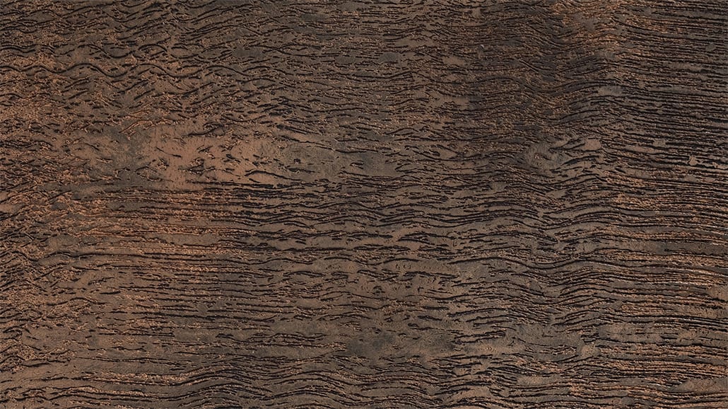 Wood texture
