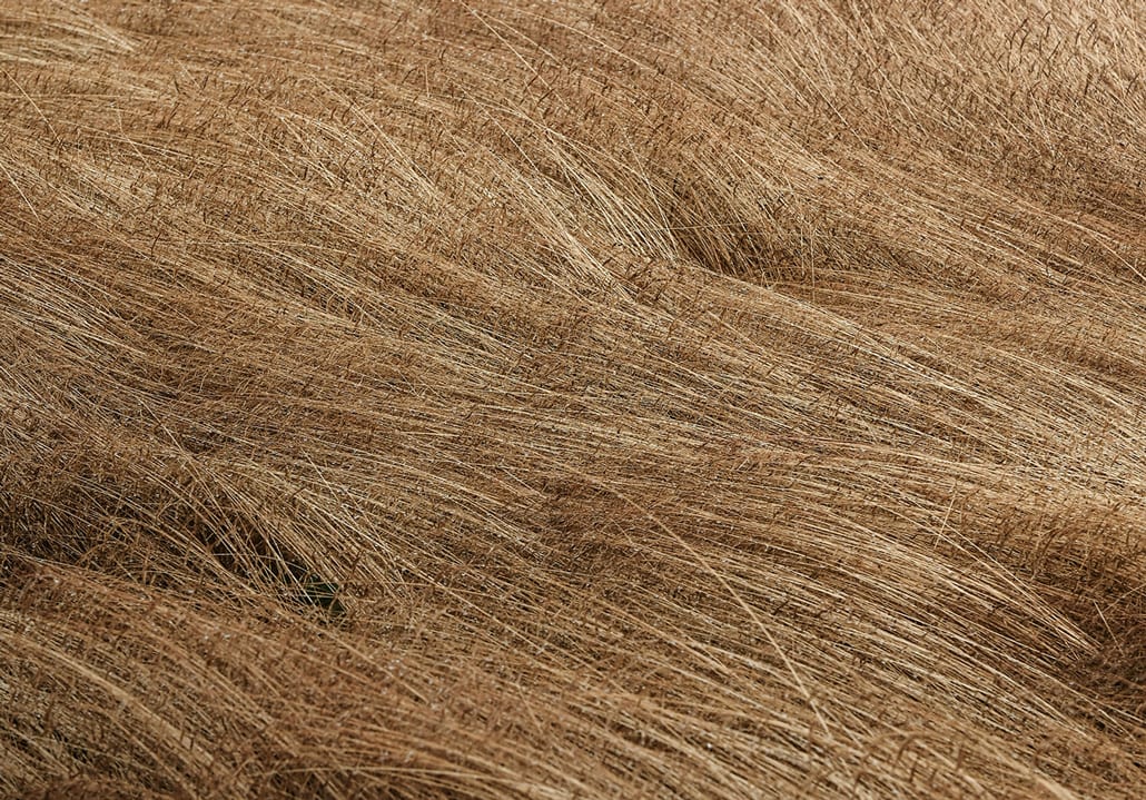 field texture